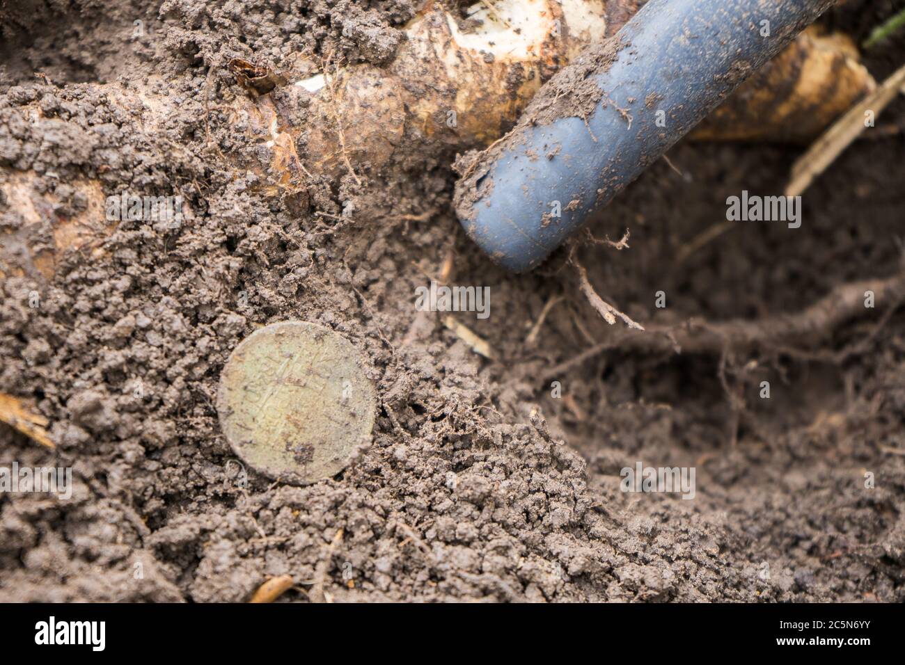pinpointer metal detector in the ground and an ancient historical coin Stock Photo