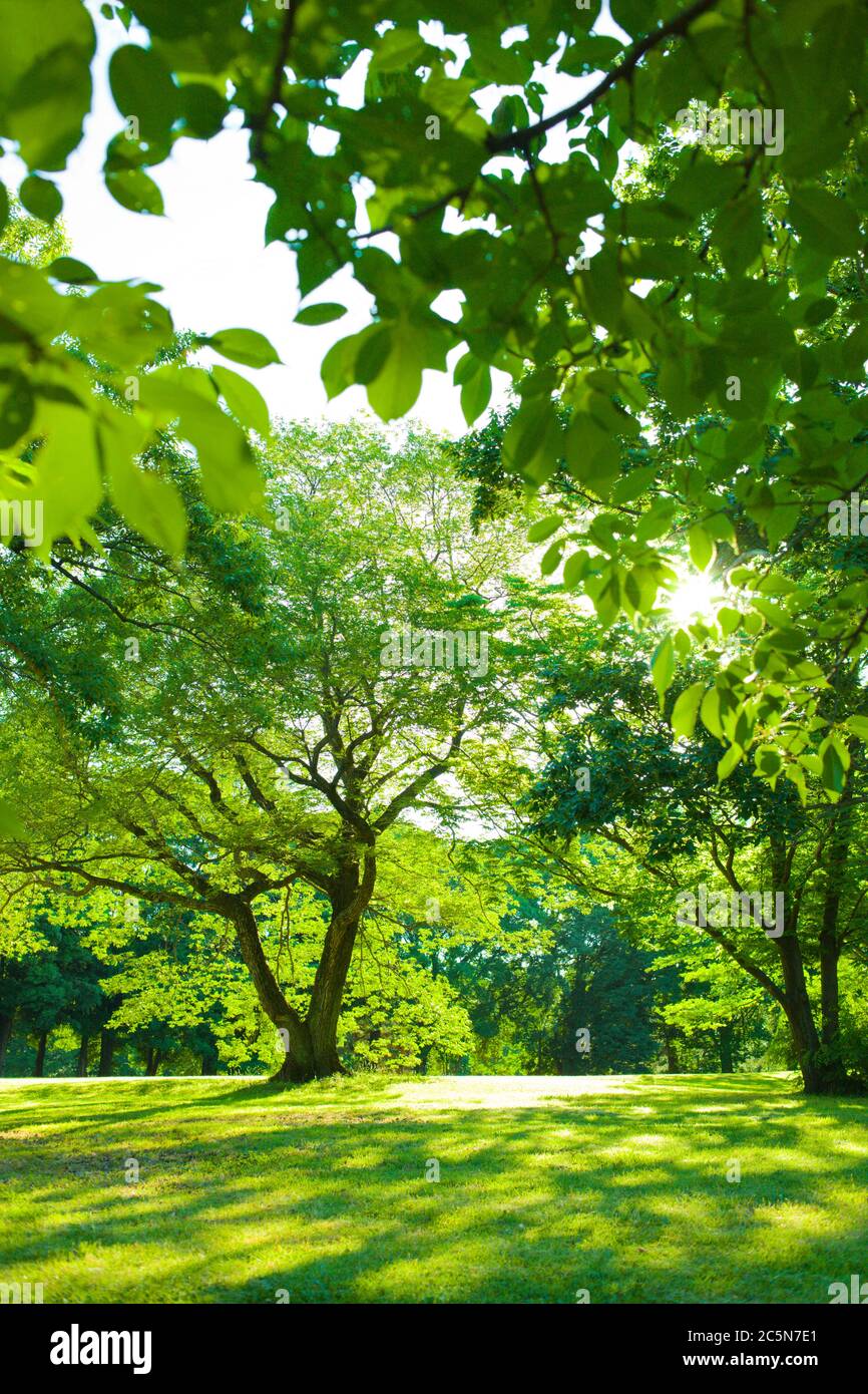 Warming garden green hi-res stock photography and images - Alamy