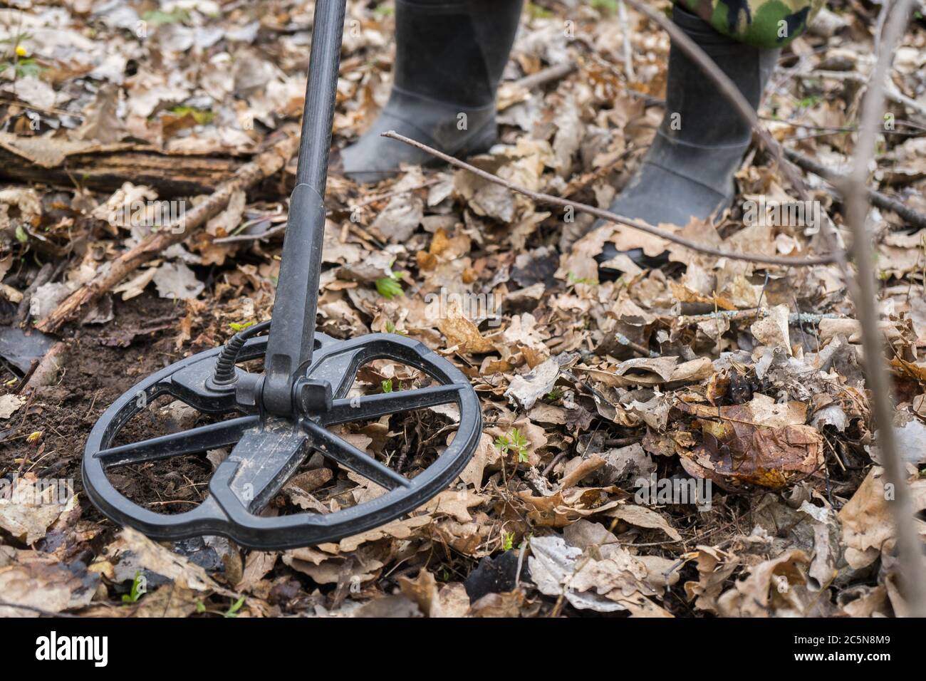metal detector in the forest and a man digging coins. Search old coins ...