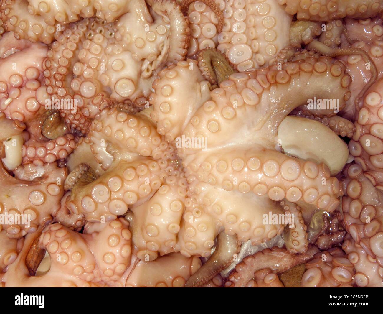 Octopus tentacles on the market close up background Stock Photo - Alamy