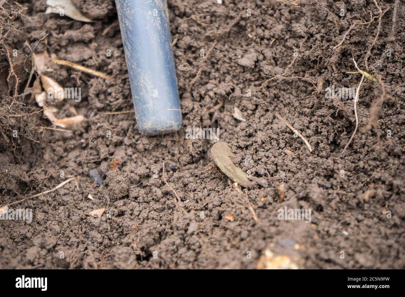 pinpointer metal detector in the ground and an ancient coin. Stock Photo