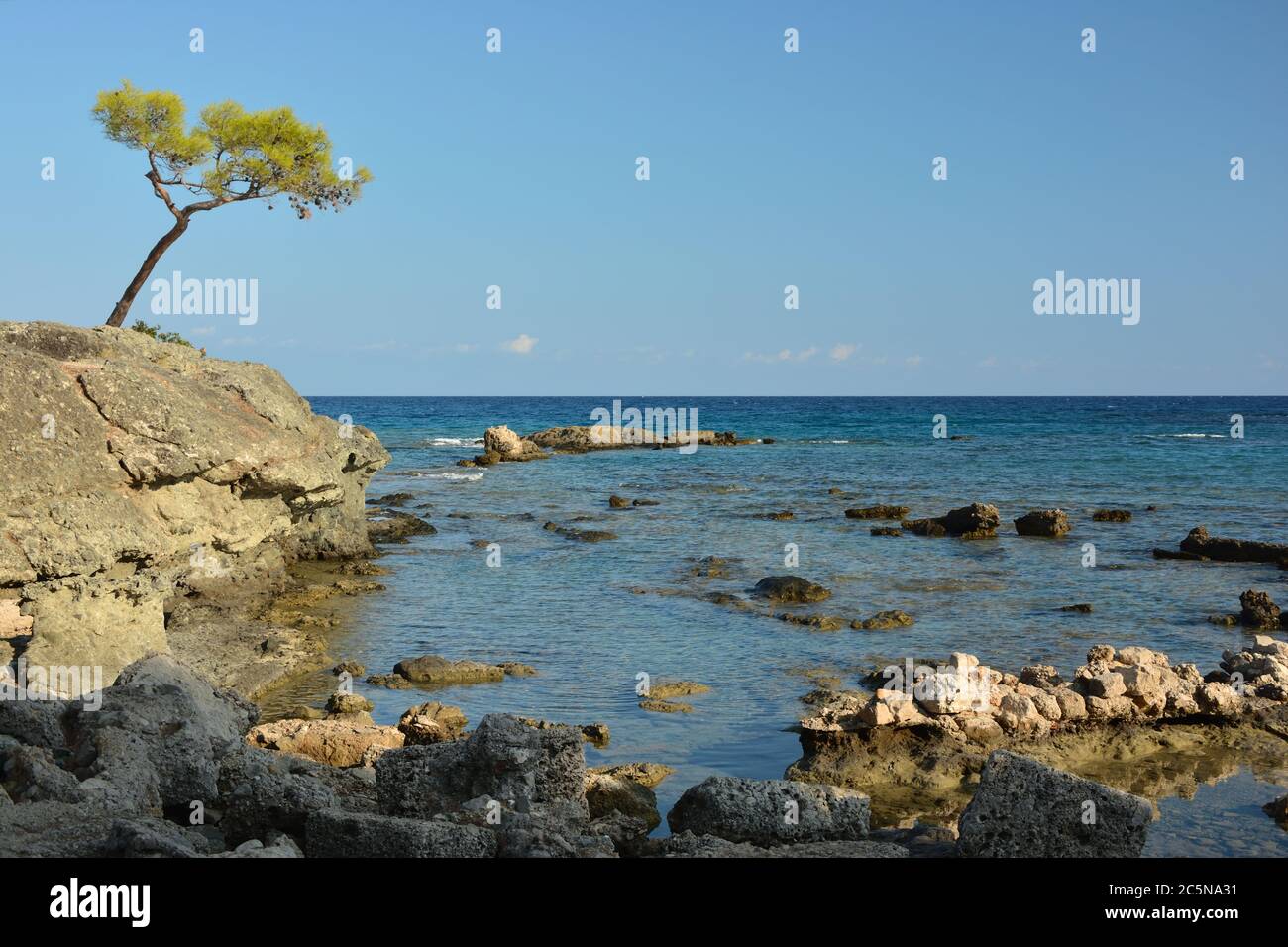 Pine tree and coastline of the battle harbour of Phaselis Archaeological site near Terikova, Antalya, Turkey Stock Photo