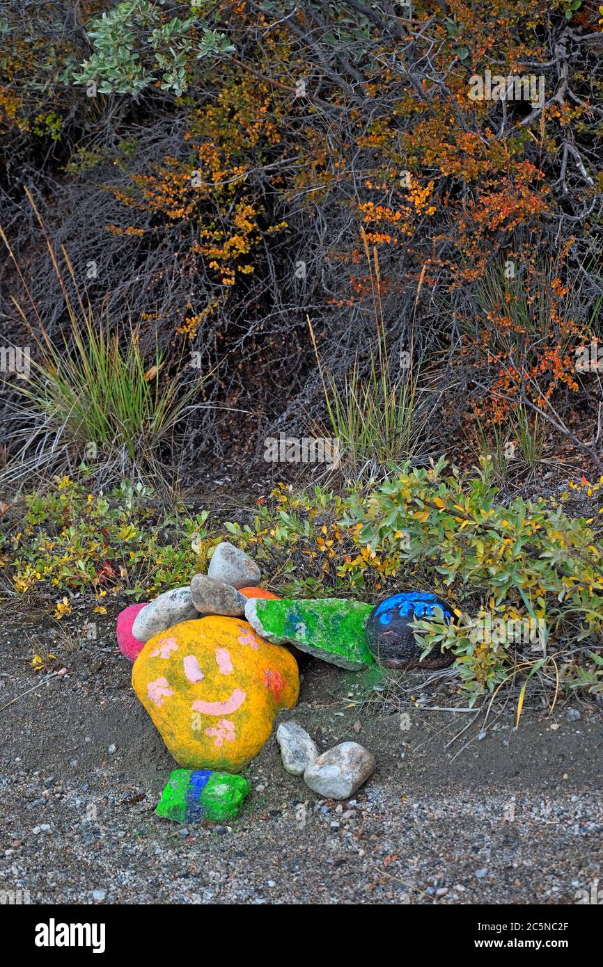 Painted stones against a colourful hedge of arctic flora. Stock Photo