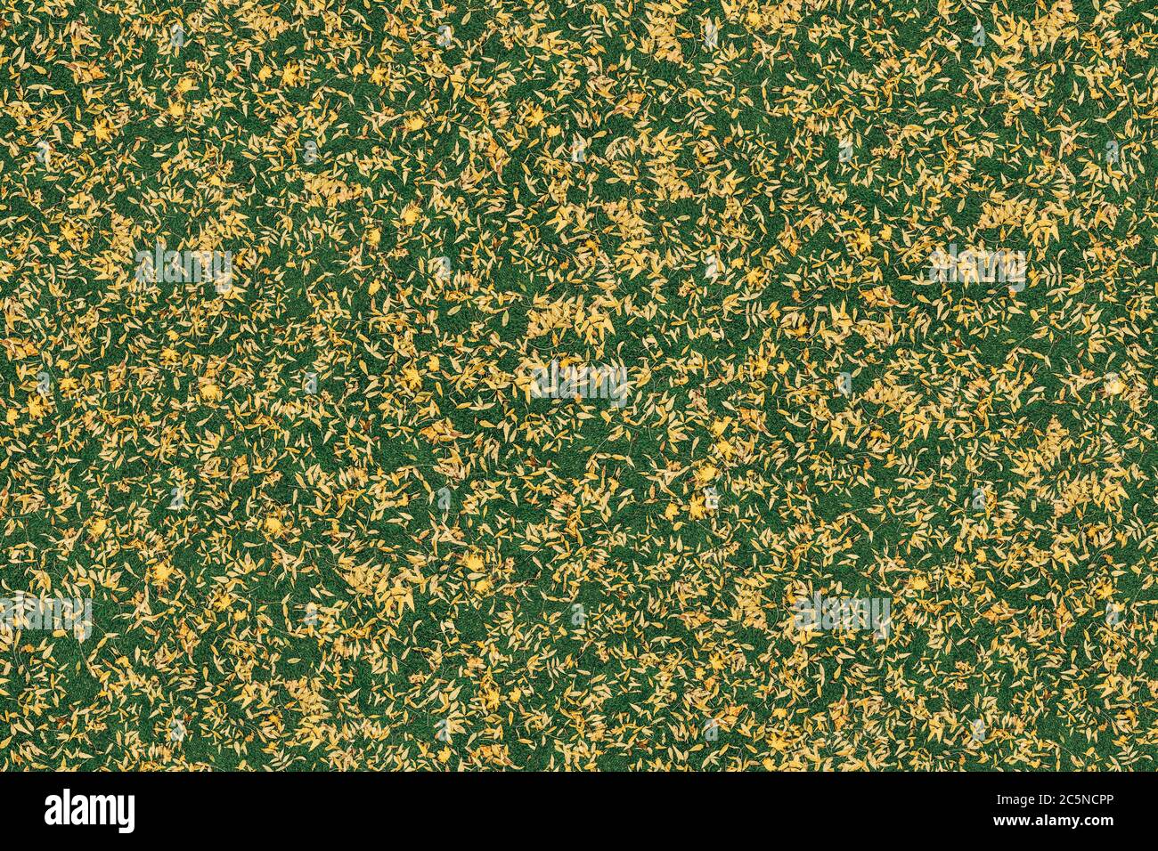 abstract nature background green grass Stock Photo - Alamy