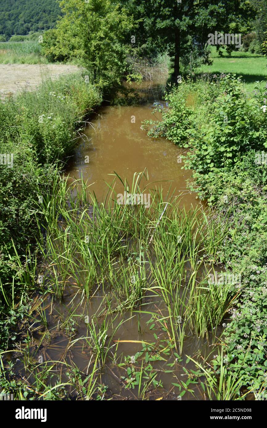 Mudwater hi-res stock photography and images - Alamy