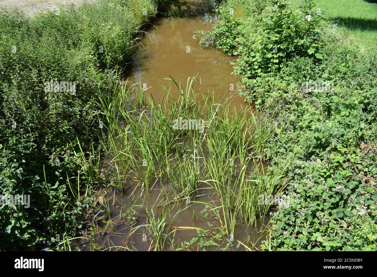 Mudwater hi-res stock photography and images - Alamy
