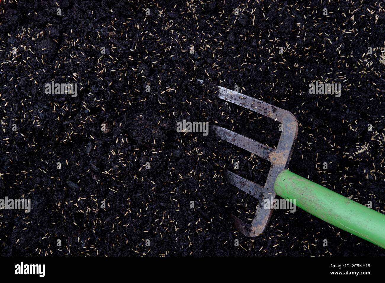Photograph of freshly forked organic compost and laid down grass seed Stock Photo Alamy