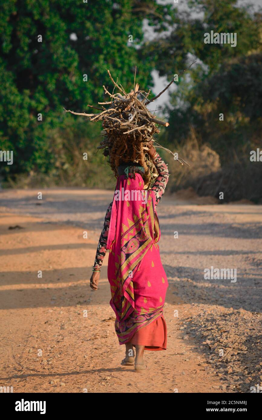 Indian woman carrying wood on head at the road, An Indian rural scene. Stock Photo