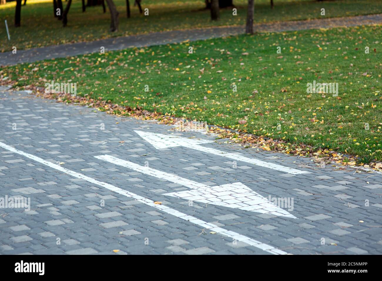 bicycle on pavement