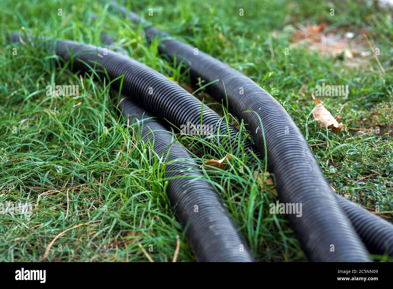PVC corrugated pipe for communication, black pipe lies on the green