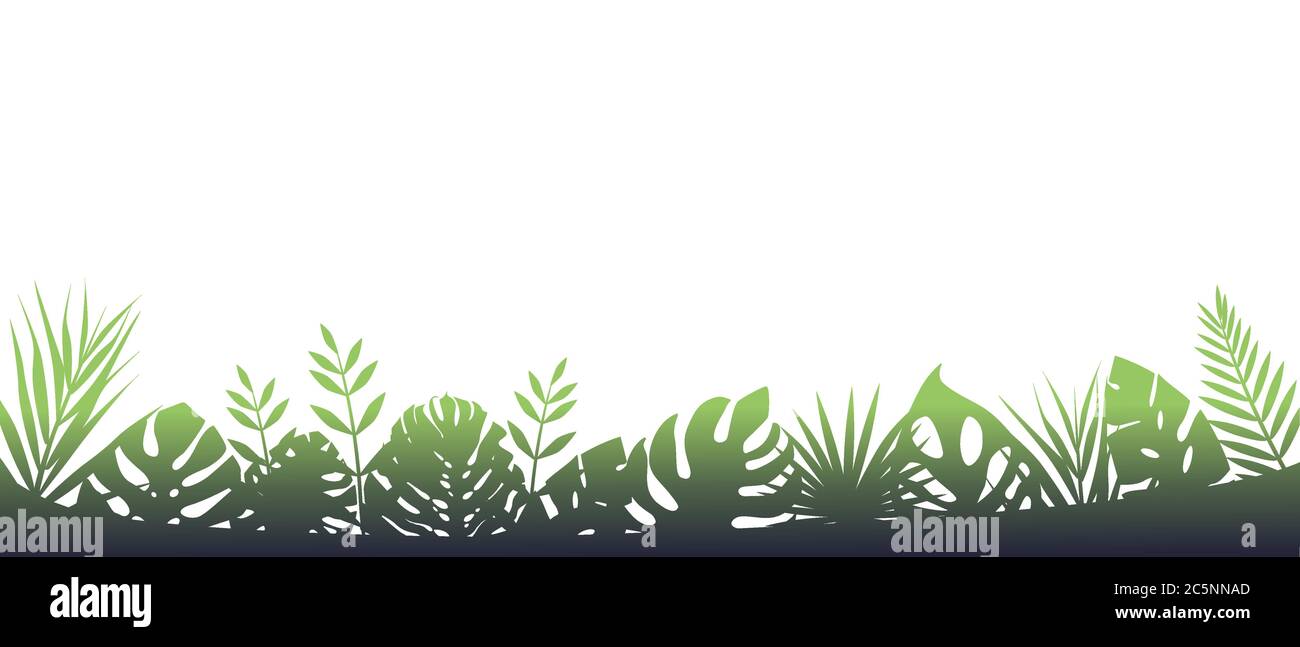Green fern background in fog. Horizontal decoration of rainforests after rain. Stock Vector