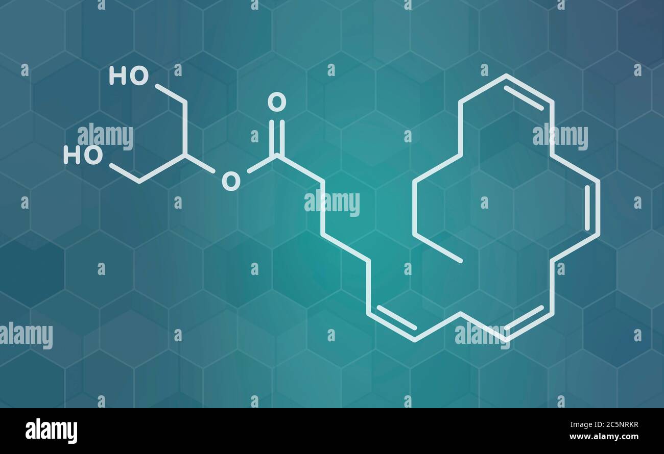 2-Arachidonoylglycerol (2-AG) endocannabinoid neurotransmitter molecule ...
