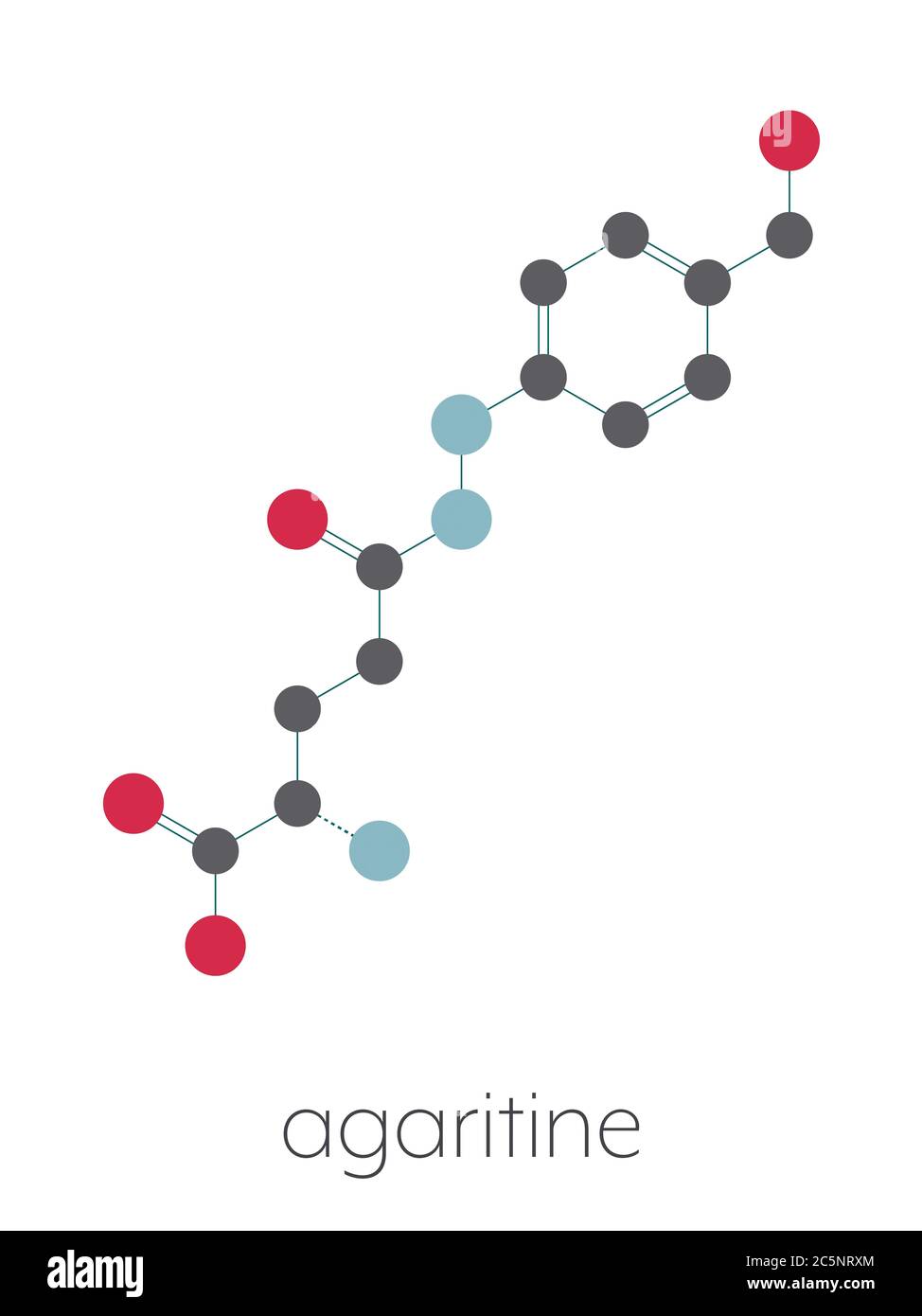 Agaritine mushroom toxin molecule. Stylized skeletal formula (chemical
