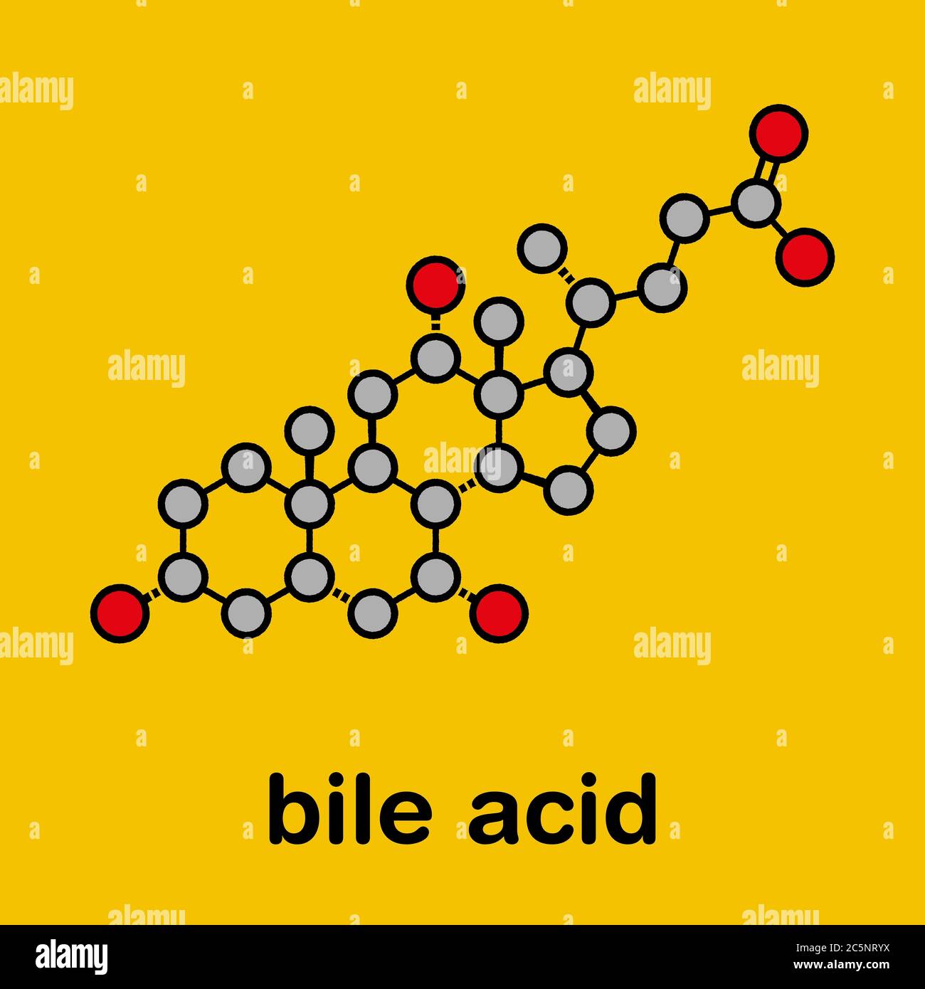 Bile acid (cholic acid, cholate) molecule. Cholic acid is the main bile acid in humans. Stylized skeletal formula (chemical structure): Atoms are shown as color-coded circles: hydrogen (hidden), carbon (grey), oxygen (red). Stock Photo