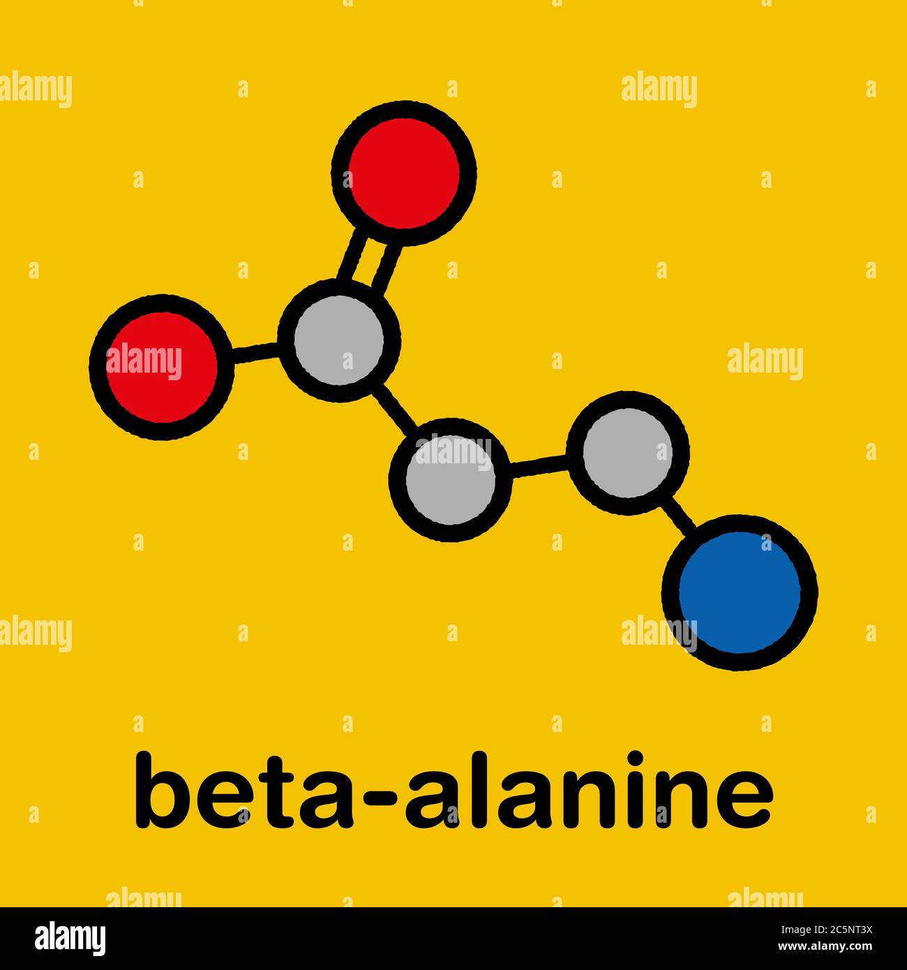 Betaalanine molecule. Naturally occurring beta amino acid. Precursor
