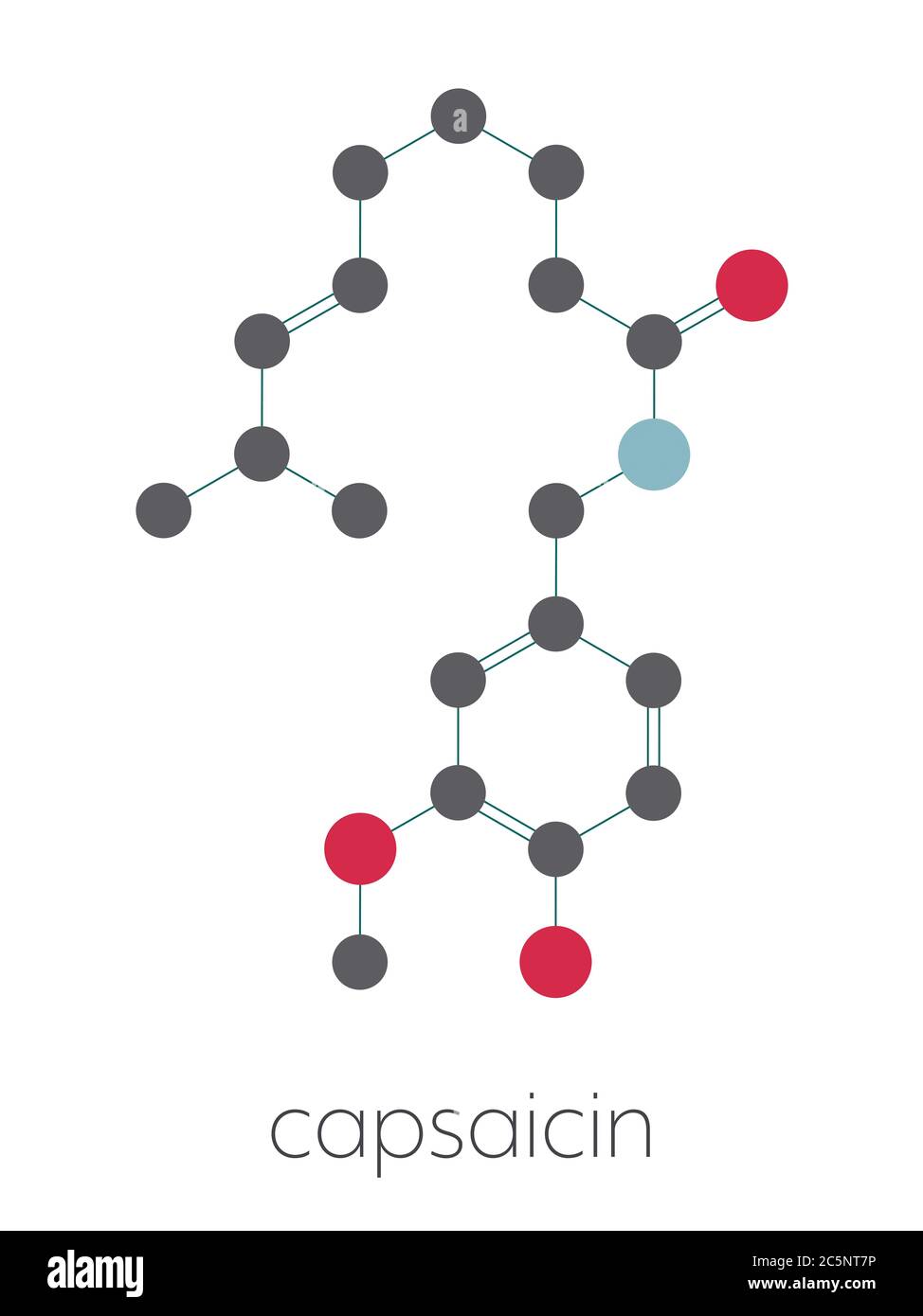 Capsaicin chili pepper molecule. Used in food, drugs, pepper spray, etc
