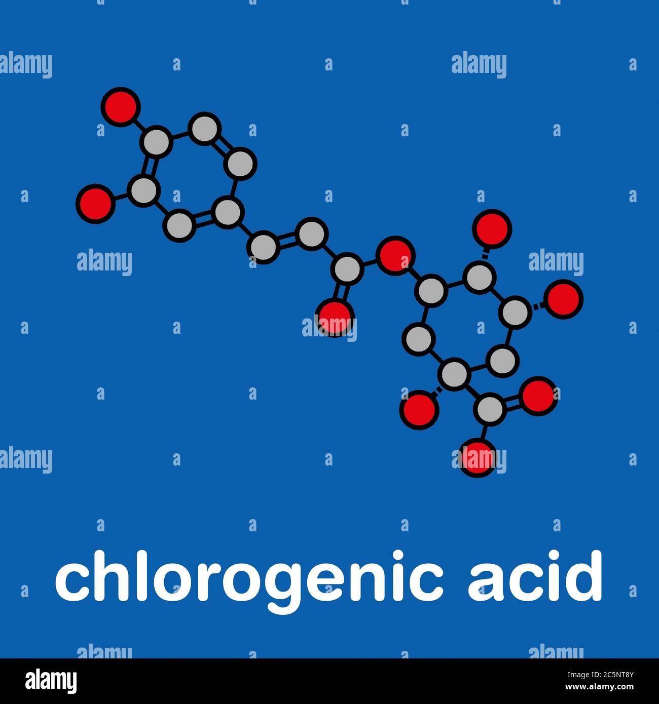Chlorogenic acid herbal molecule. Stylized skeletal formula (chemical structure): Atoms are shown as color-coded circles: hydrogen (hidden), carbon (grey), oxygen (red). Stock Photo