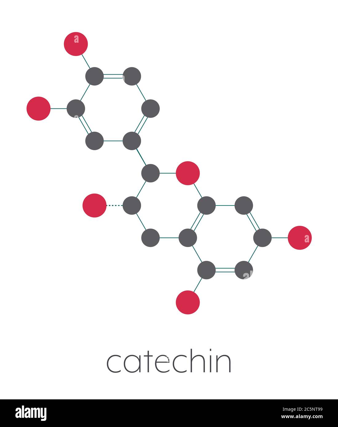 Catechin herbal antioxidant molecule. Stylized skeletal formula (chemical structure): Atoms are shown as color-coded circles: hydrogen (hidden), carbon (grey), oxygen (red). Stock Photo