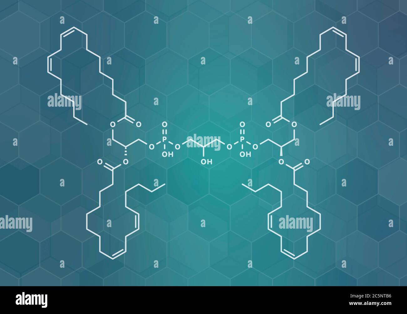 Cardiolipin (tetralinoleoyl cardiolipin) molecule. Important component of the inner membrane of mitochondria. Skeletal formula. Stock Photo