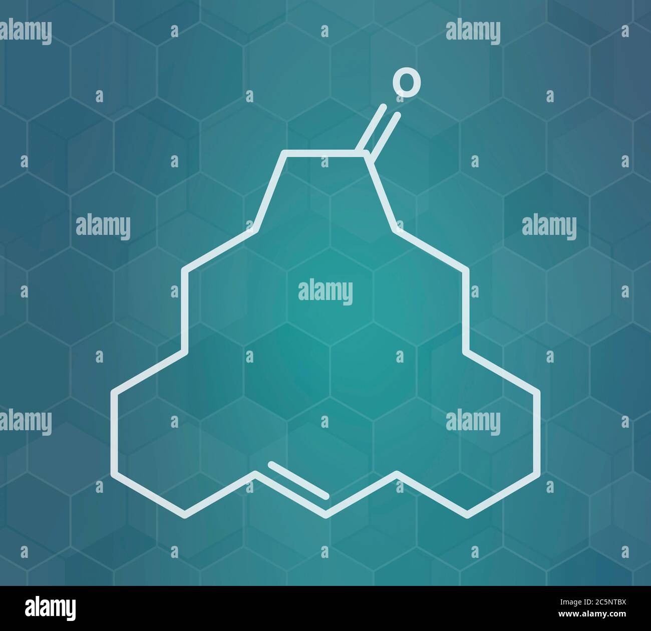 Civet Cat High Resolution Stock Photography and Images Alamy