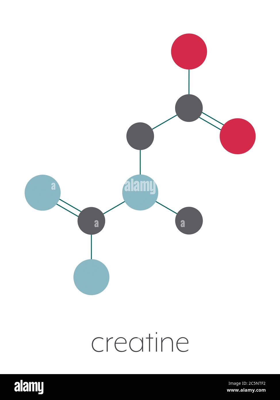 Creatine molecule. Often used in food supplements. Stylized skeletal