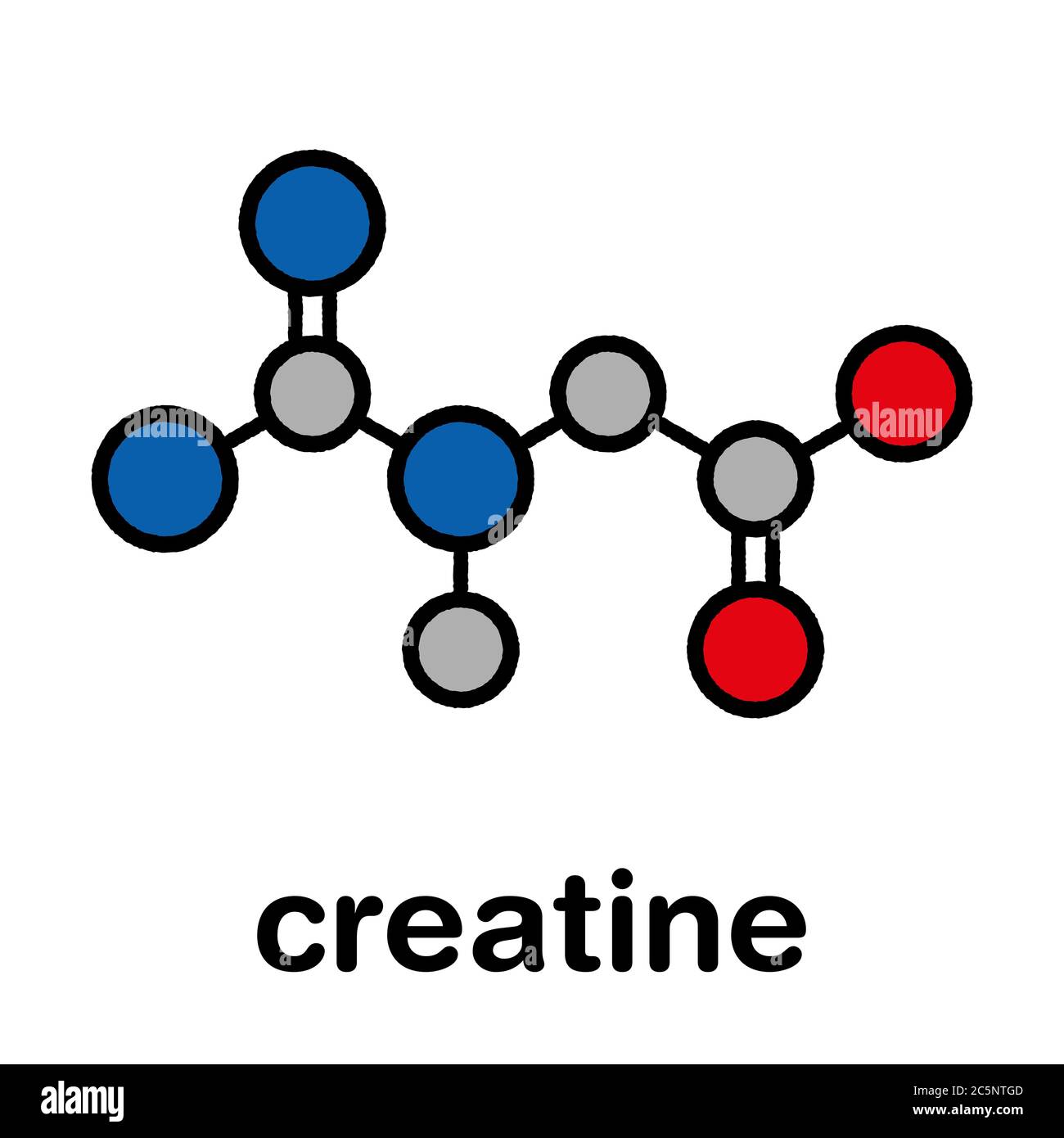 Creatine molecule. Often used in food supplements. Stylized skeletal