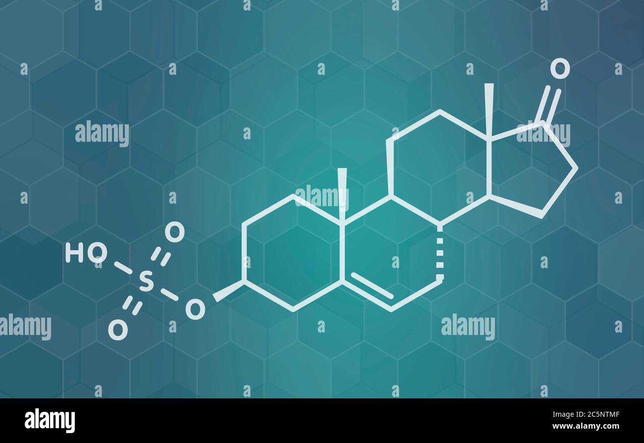 Dehydroepiandrosterone sulfate (DHEAS) natural hormone molecule