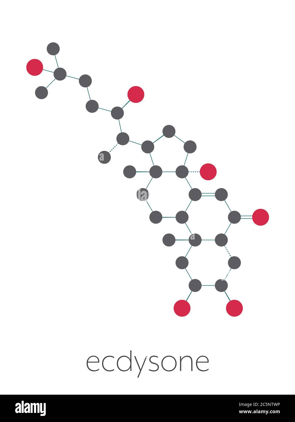 Ecdysone insect moulting prohormone. Stylized skeletal formula (chemical structure): Atoms are shown as color-coded circles: hydrogen (hidden), carbon (grey), oxygen (red). Stock Photo