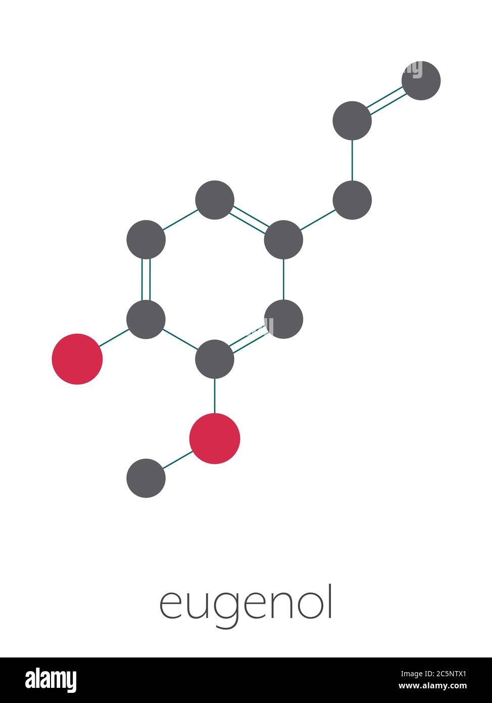 Eugenol herbal essential oil molecule. Present in cloves, nutmeg, etc