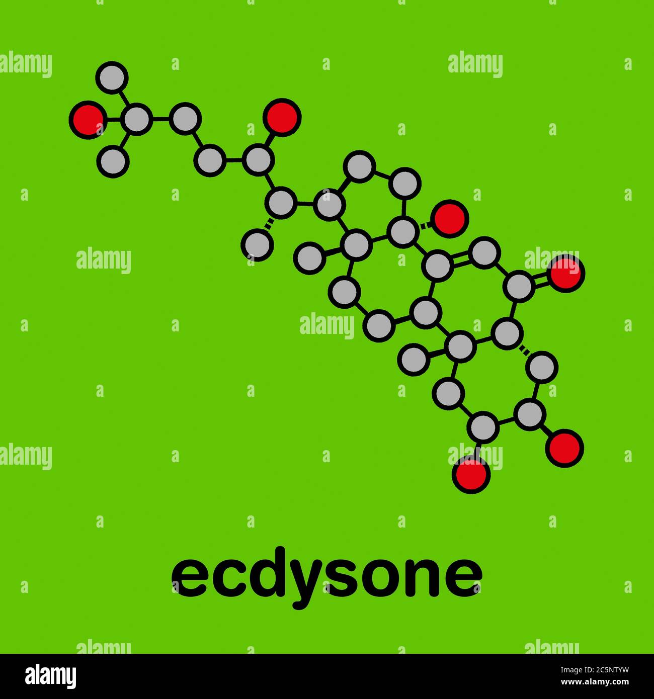 Ecdysone insect moulting prohormone. Stylized skeletal formula (chemical structure): Atoms are shown as color-coded circles: hydrogen (hidden), carbon (grey), oxygen (red). Stock Photo