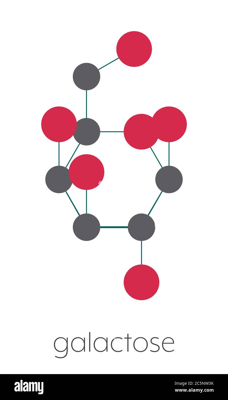 Galactose sugar molecule. Present in milk and dairy products. Stylized