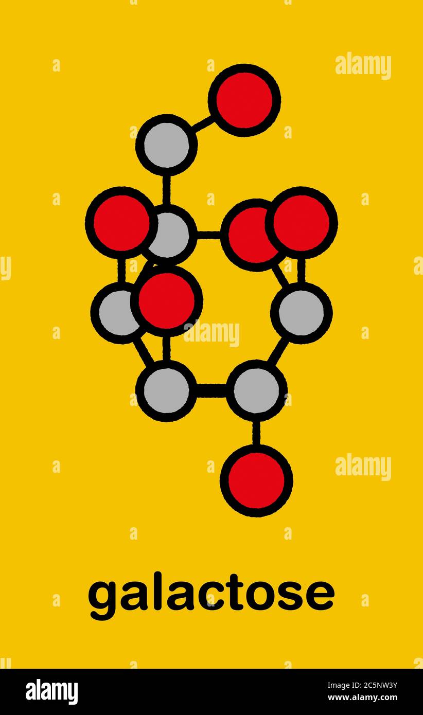 Galactose sugar molecule. Present in milk and dairy products. Stylized