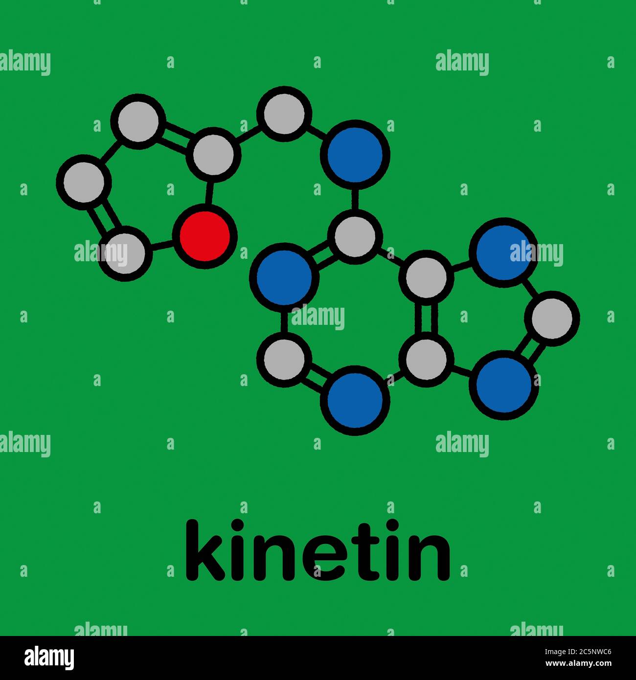 kinetin-n6-furfuryladenine-plant-hormone-molecule-promotes-cell