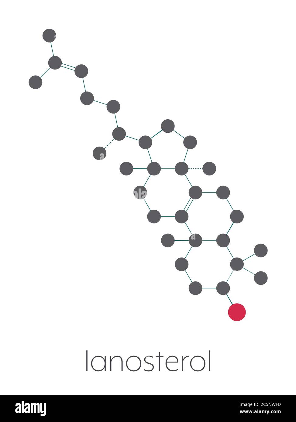 Lanosterol molecule. Investigated for treatment of cataract. Stylized skeletal formula (chemical structure): Atoms are shown as color-coded circles: hydrogen (hidden), carbon (grey), oxygen (red). Stock Photo