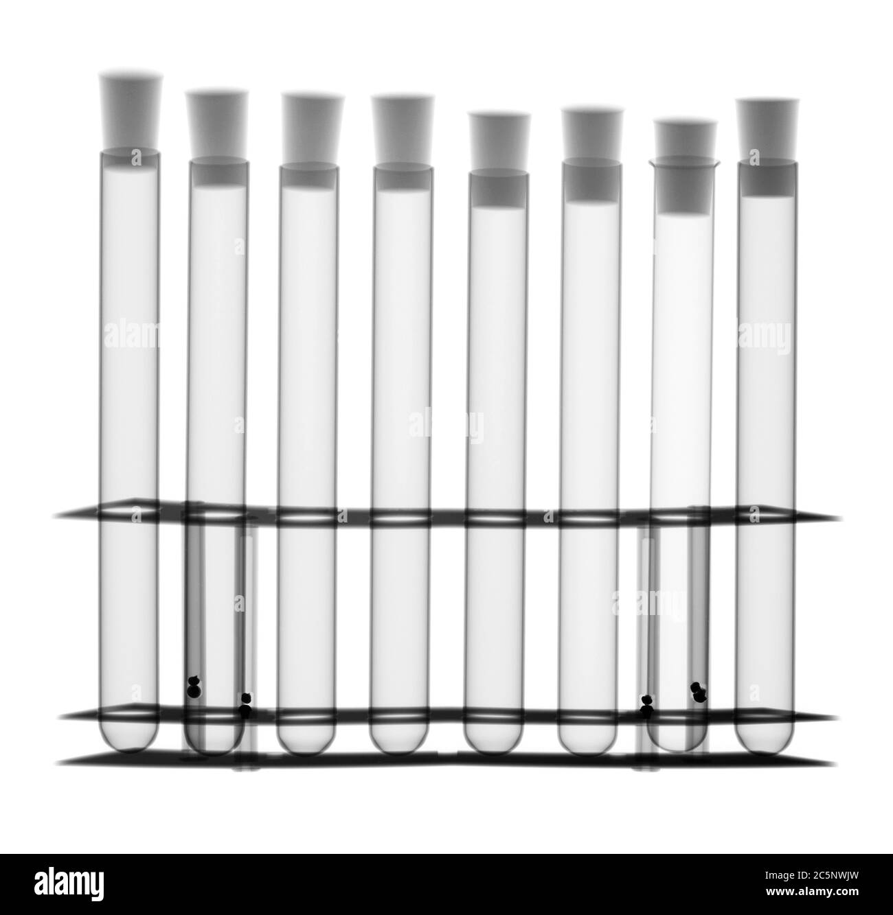 Eight test tubes with bungs in a test tube holder, X-ray. Stock Photo