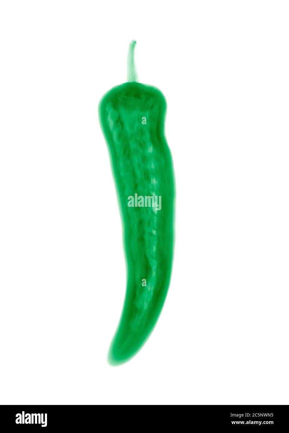 Chilli pepper, coloured X-ray. Stock Photo