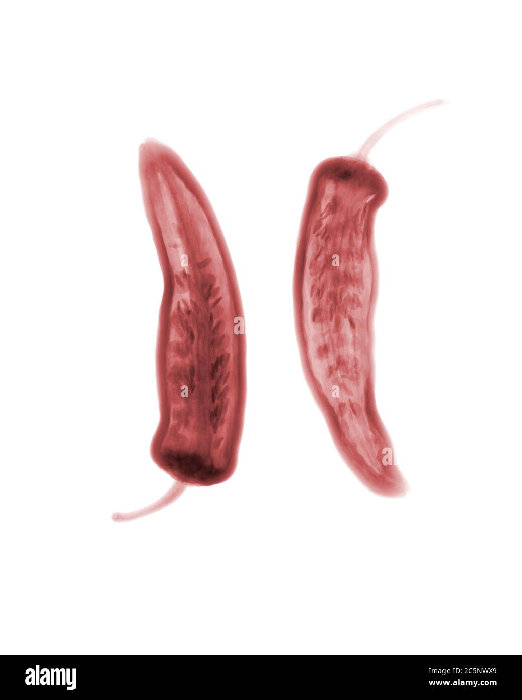 Red chillies, coloured X-ray. Stock Photo
