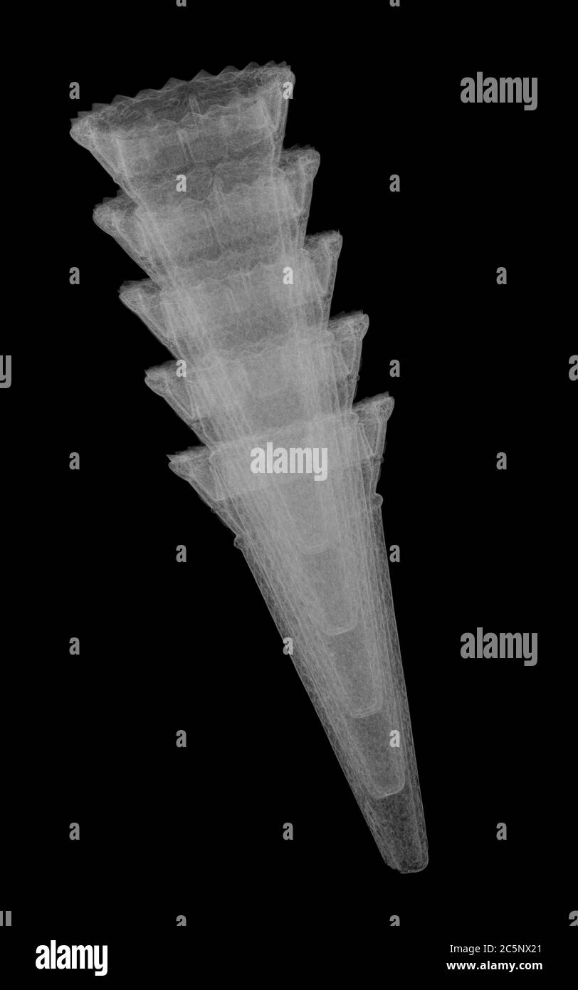 Stacked ice cream cones, X-ray. Stock Photo