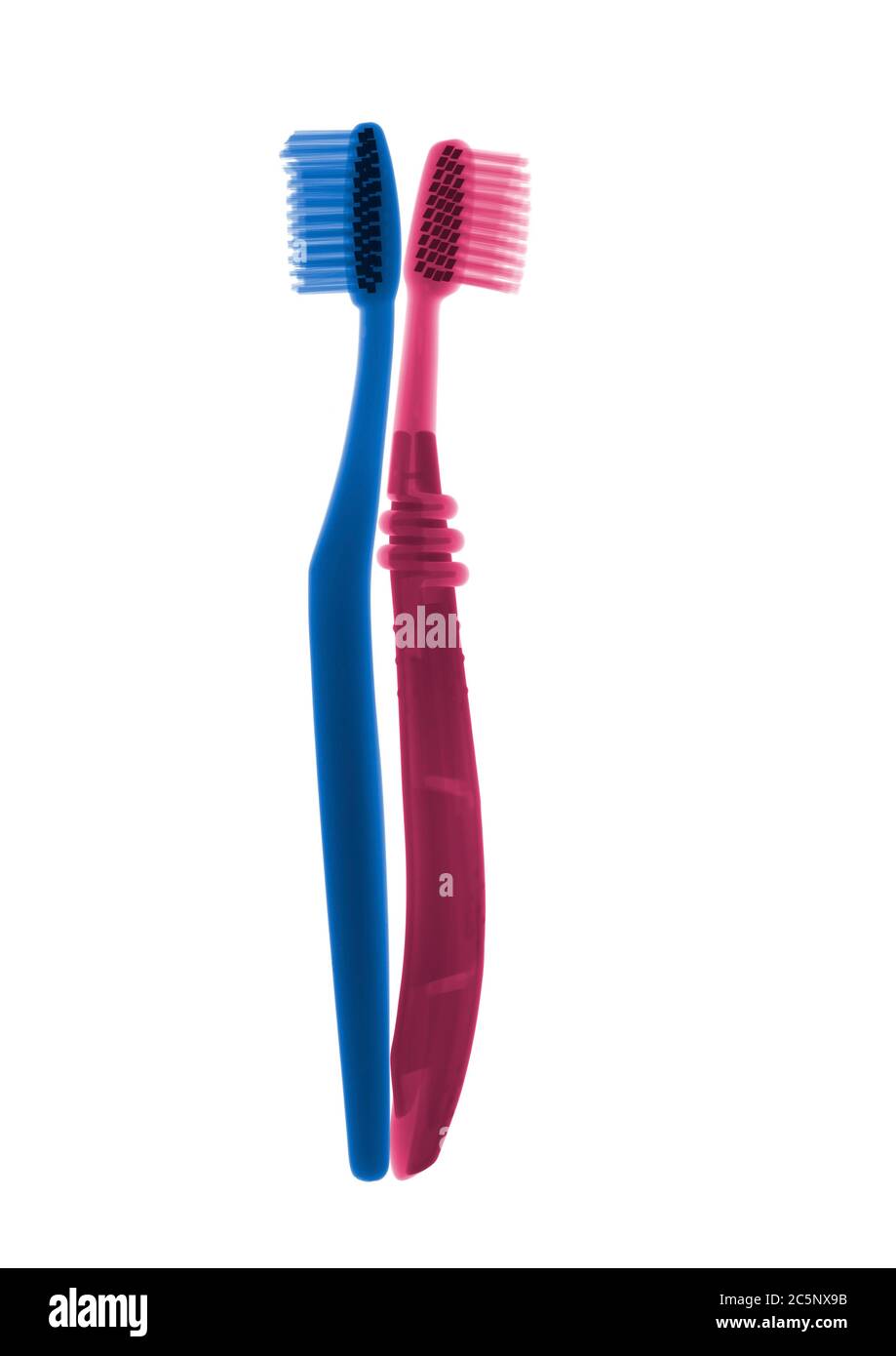 Pink and blue toothbrushes, coloured X-ray. Stock Photo
