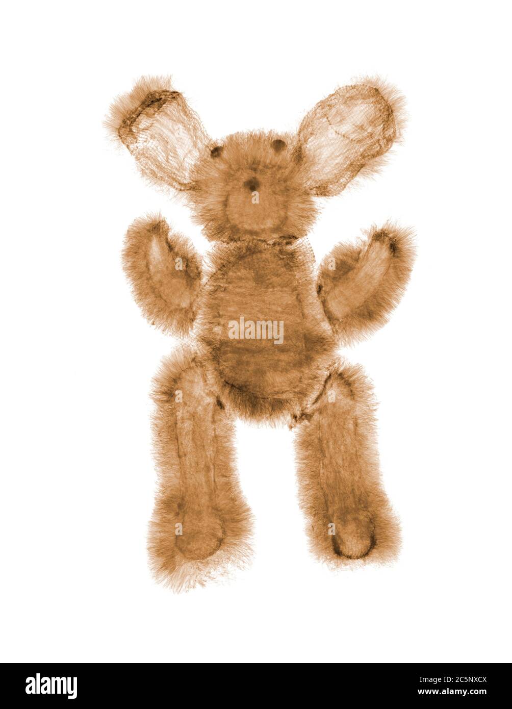 Straw teddy bear, coloured X-ray. Stock Photo