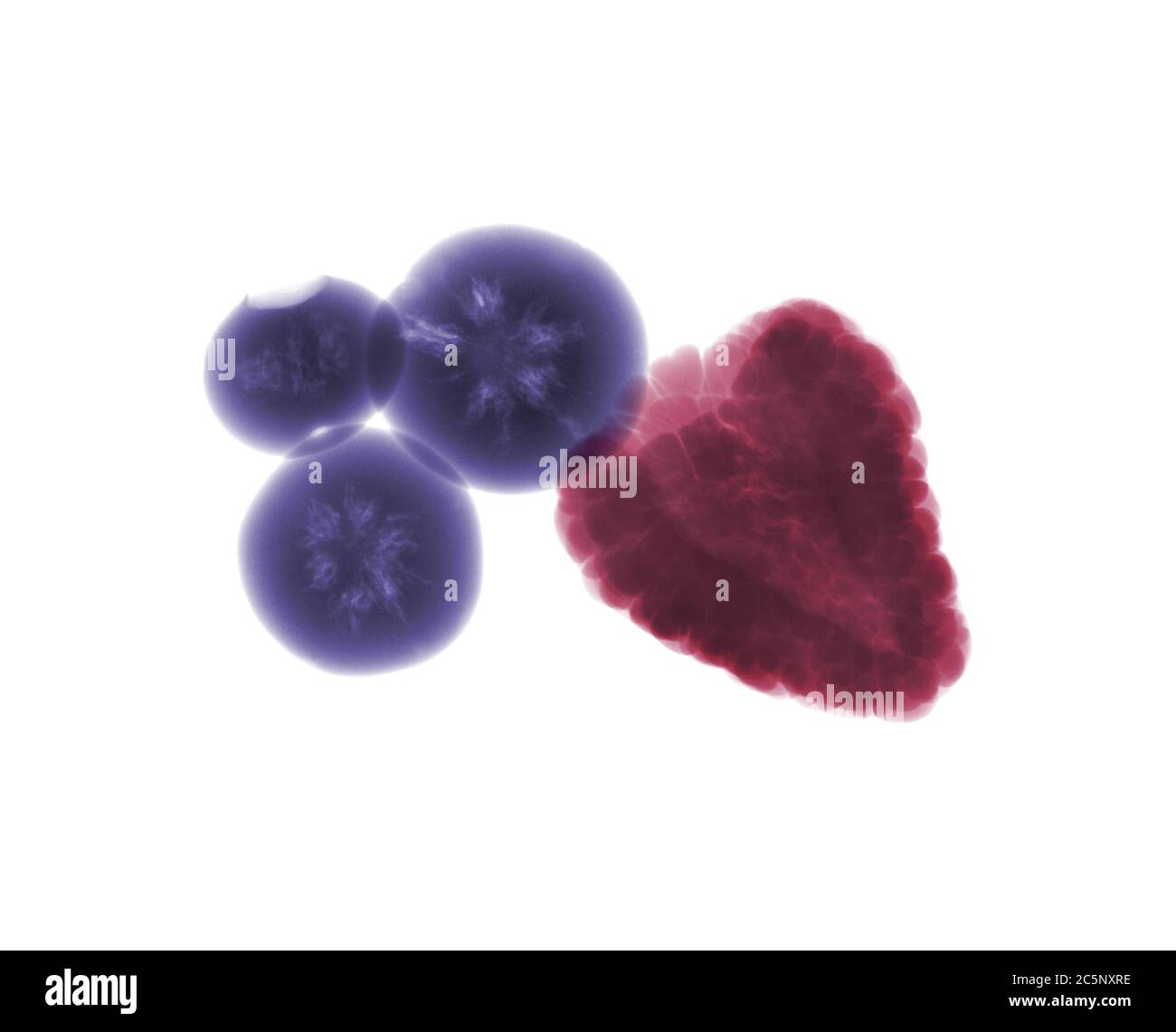 Raspberry and blueberries, coloured X-ray. Stock Photo