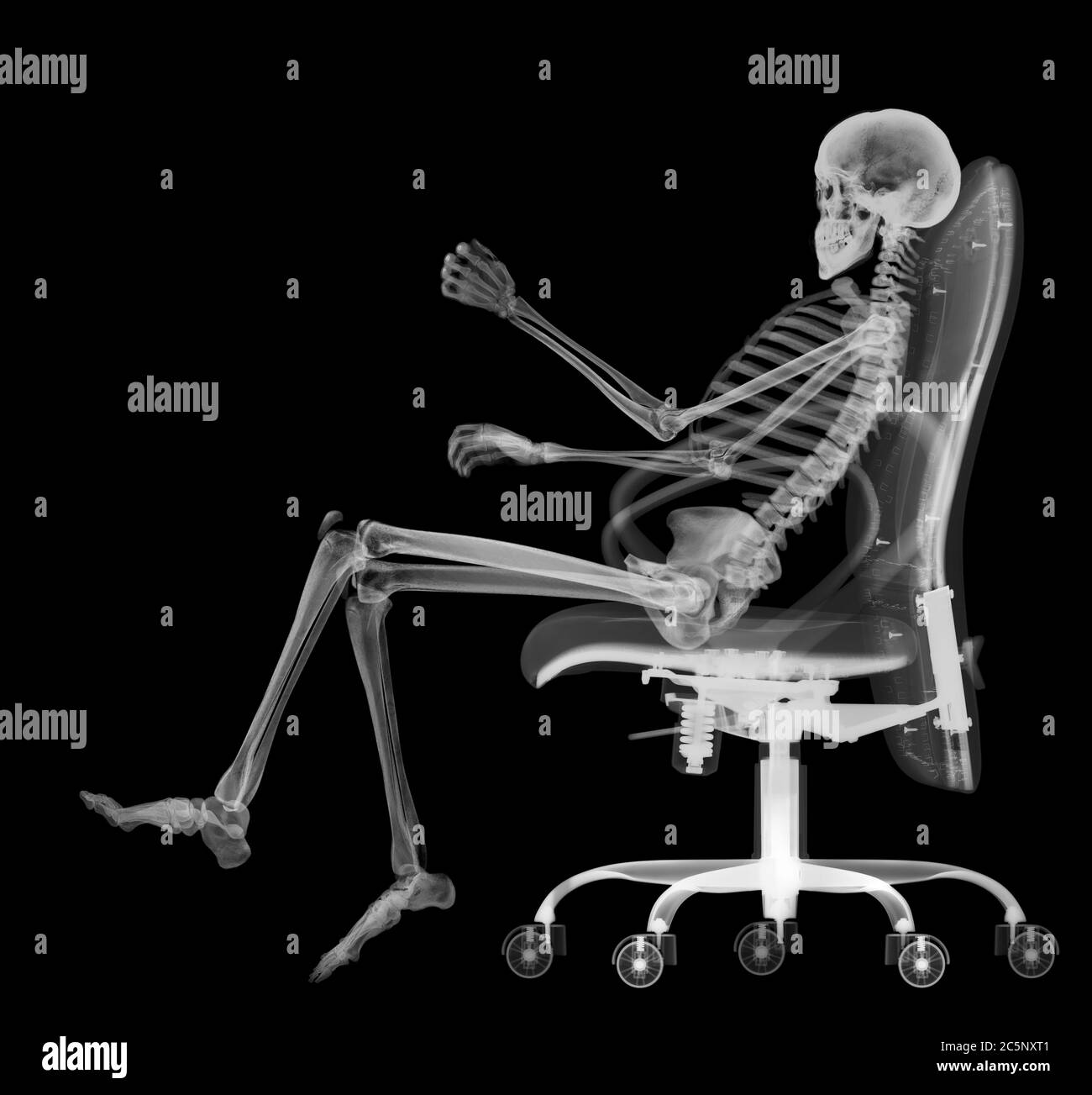 Skeleton in office chair, X-ray. Stock Photo