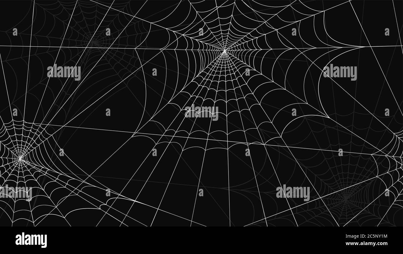 Spider Web Pattern Seamless White Spider Web Drawings On Black 