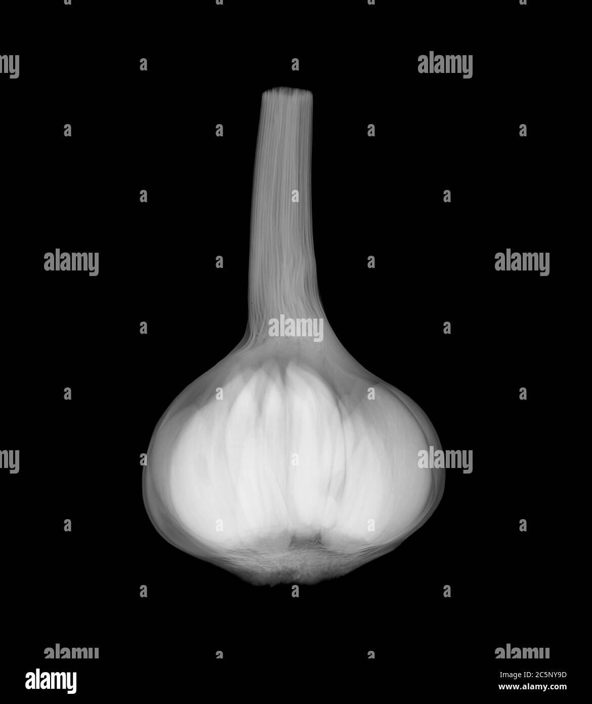 Garlic bulb and clove of garlic hires stock photography and images Alamy