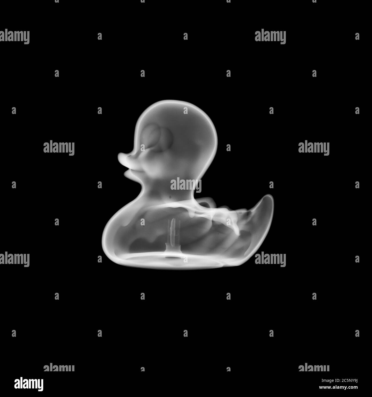 Toy rubber duck, X-ray. Stock Photo