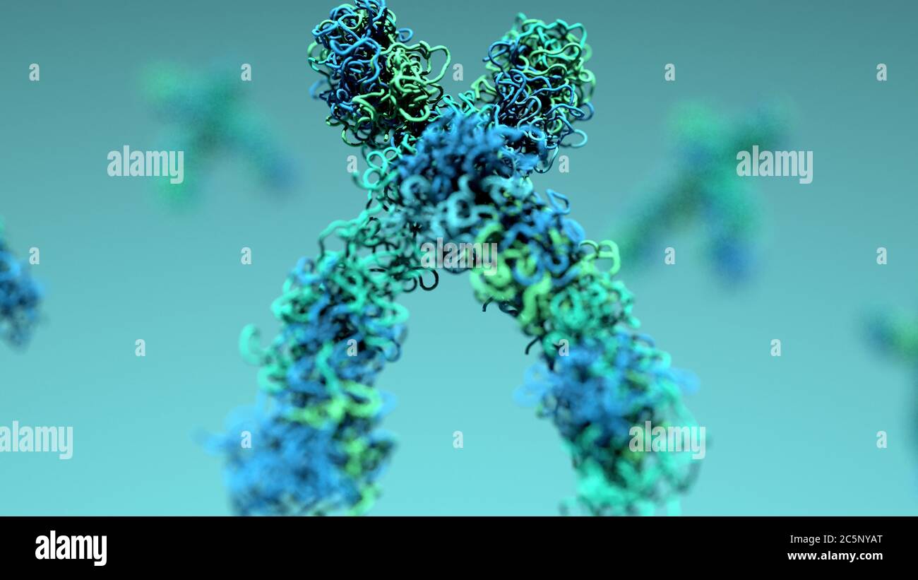 Centromere hi-res stock photography and images - Alamy