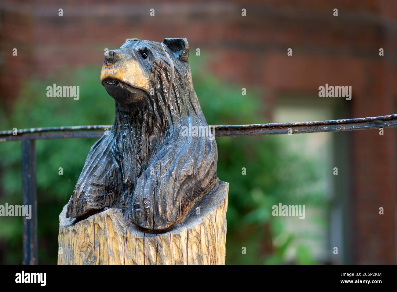 Close Up macro photo of a generic wooden bear statue in aperture mode