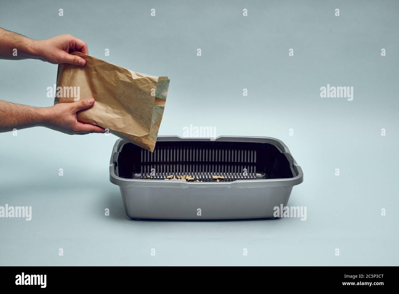 New gray, empty cat tray. Tray filler, biodegradable cat litter. Toilet for the cat Stock Photo