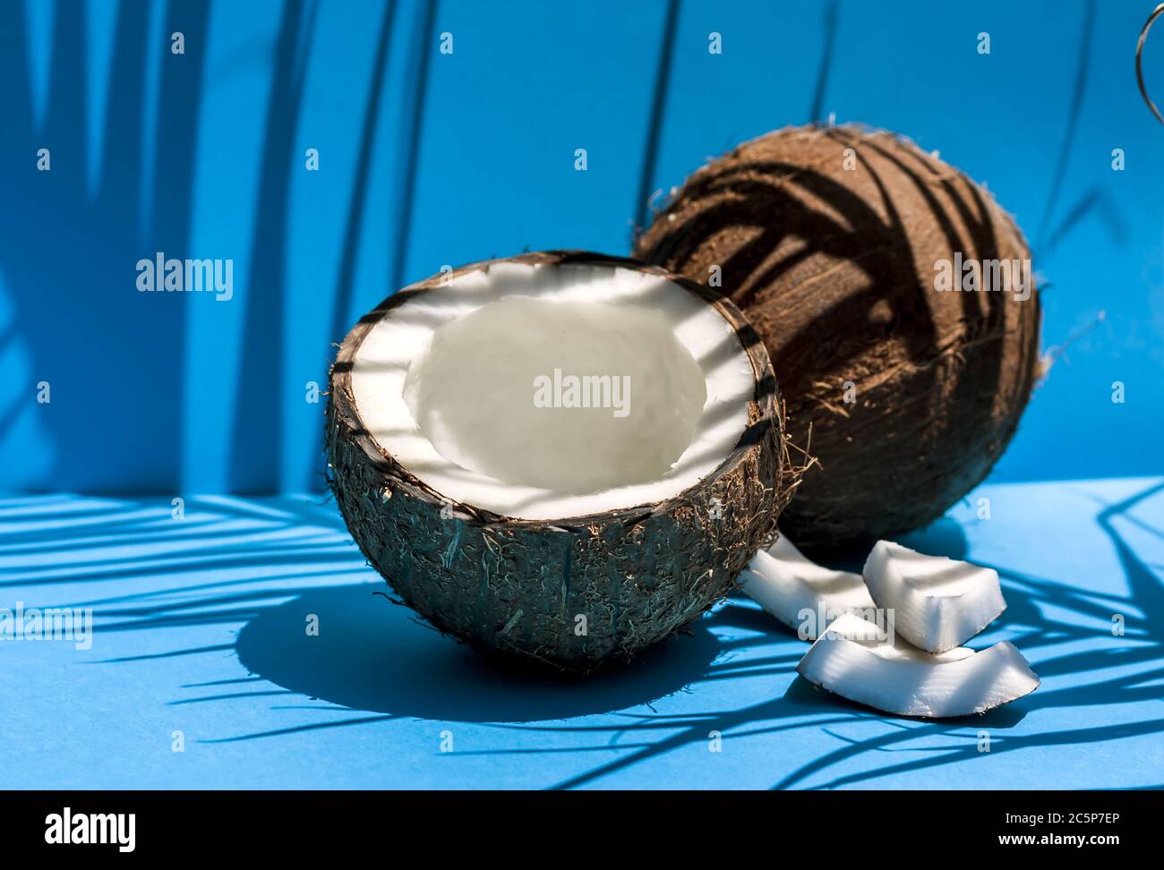 Ripe coconut on blue background with coconut tropical palm leaf shadow. Healthy stile life, food and summer holiday concept. Space for text. Stock Photo