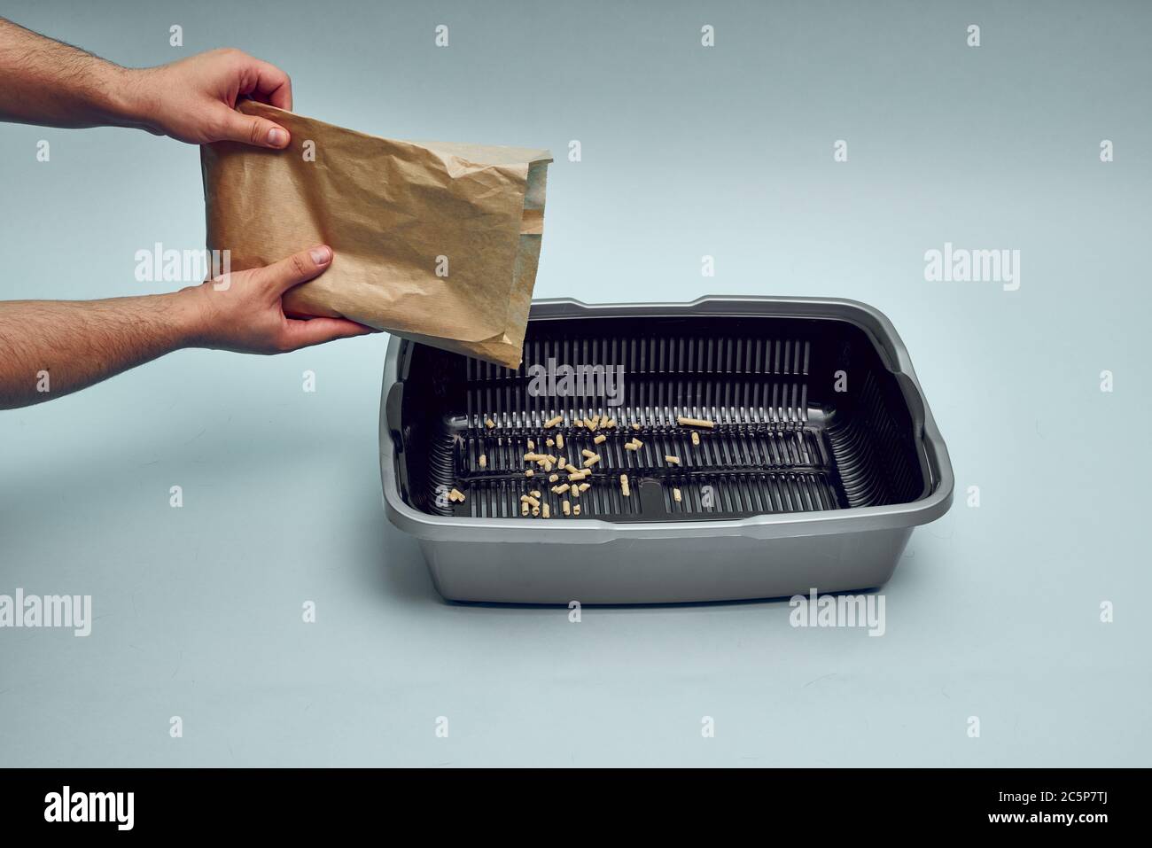 New gray, empty cat tray. Tray filler, biodegradable cat litter. Toilet for the cat Stock Photo